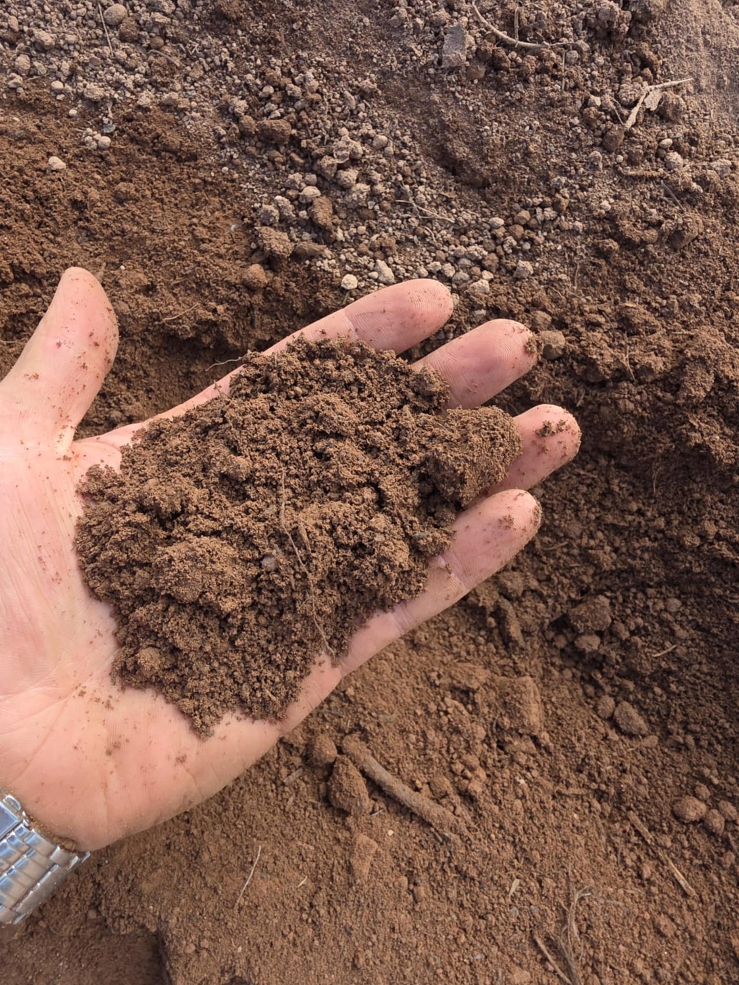 Top Soil